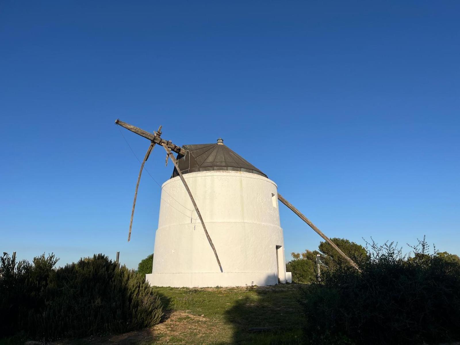 Estudio Los Mellis Vejer de la Frontera Luaran gambar